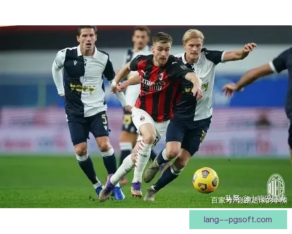 以凯恩对阵那不勒斯世界杯临场发挥评估为核心的表现解析深度战术观察